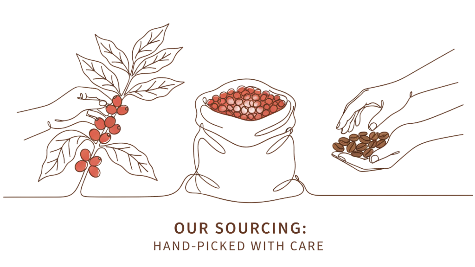 Heureux Coffee Brand & Packaging